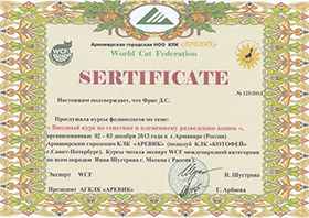 felinology certificate